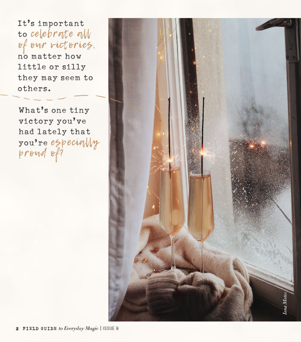 Field Guide to Everyday Magic Issue 9 Instant Download