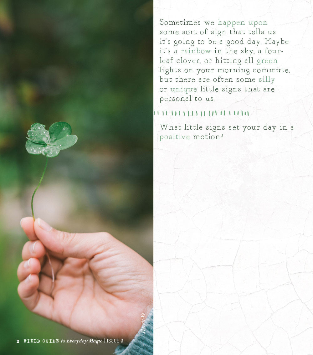 Field Guide to Everyday Magic Issue 9 Instant Download