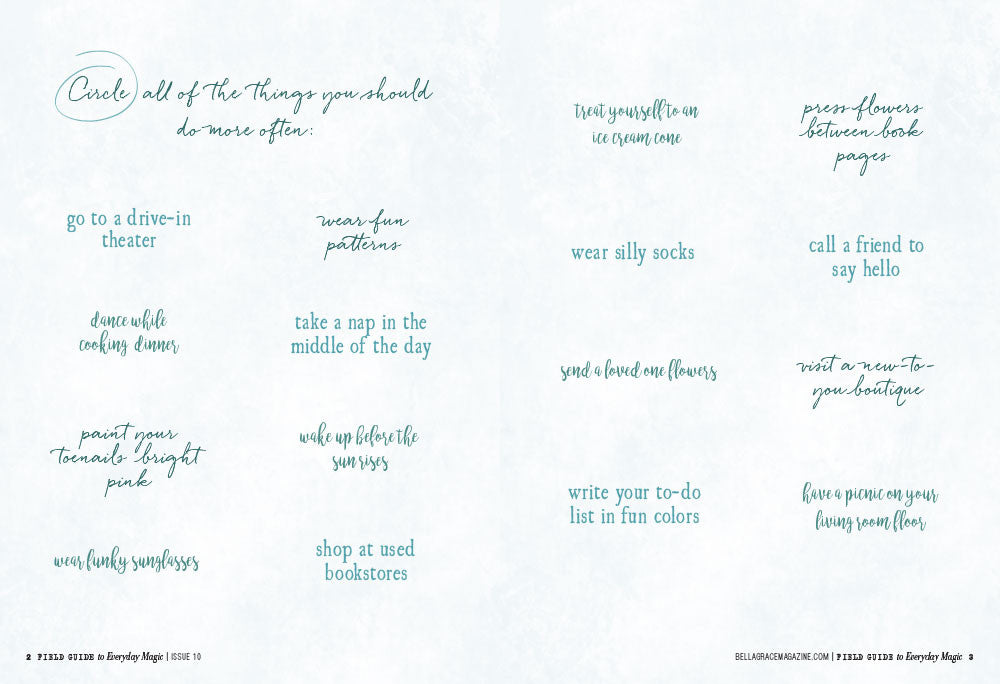 Field Guide to Everyday Magic Issue 10