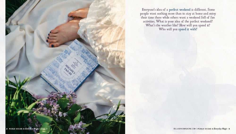 Field Guide to Everyday Magic Issue 11 Instant Download