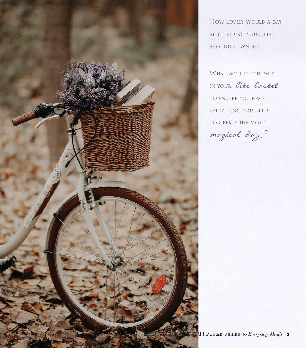 Field Guide to Everyday Magic Issue 11 Instant Download