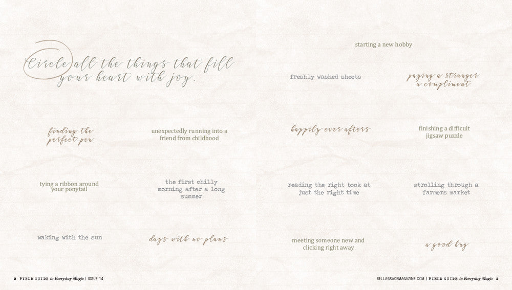 Field Guide to Everyday Magic Issue 14 Instant Download