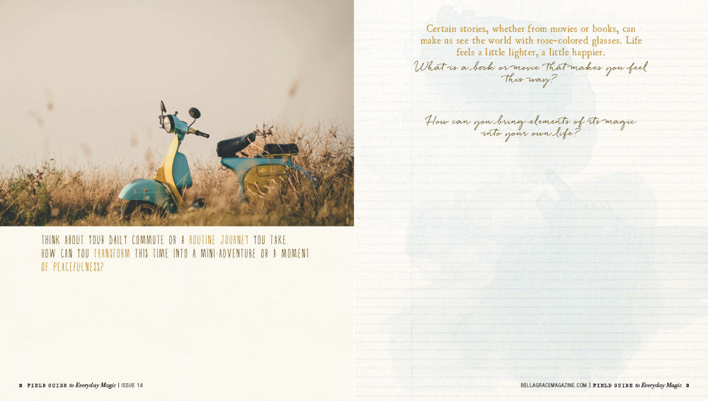 Field Guide to Everyday Magic Issue 14 Instant Download