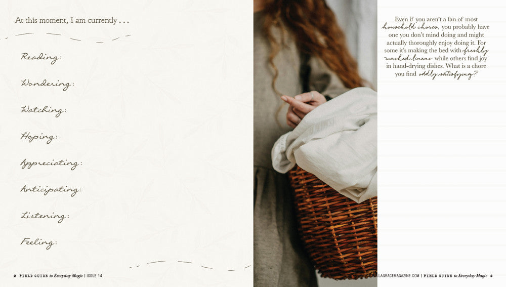 Field Guide to Everyday Magic Issue 14 Instant Download
