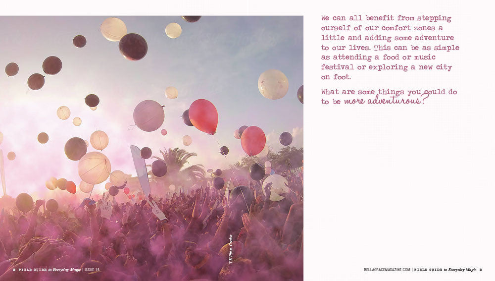 Field Guide to Everyday Magic Issue 15