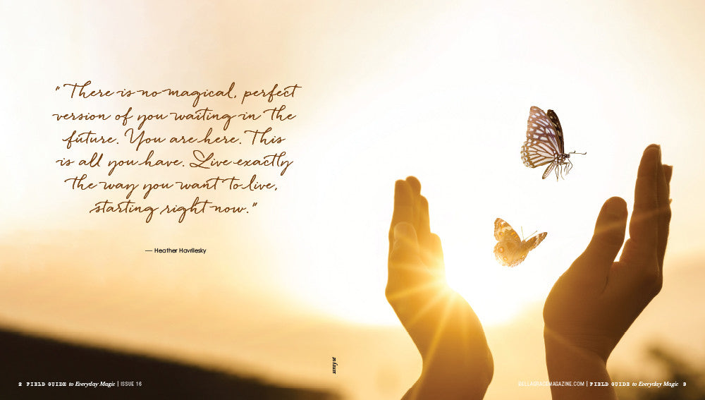 Field Guide to Everyday Magic Issue 16