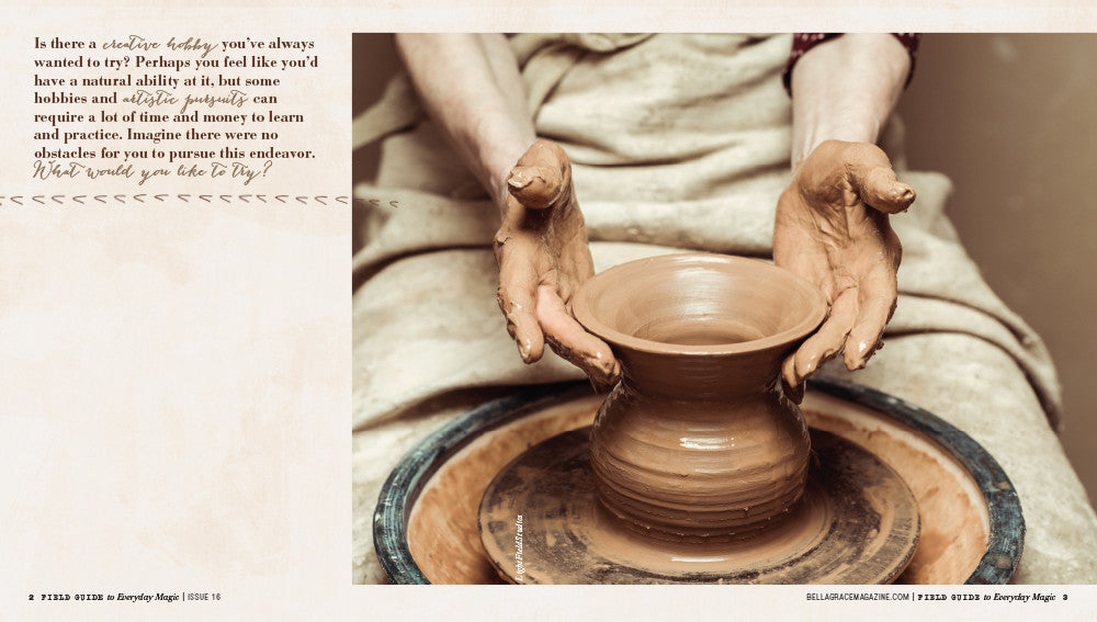 Field Guide to Everyday Magic Issue 16
