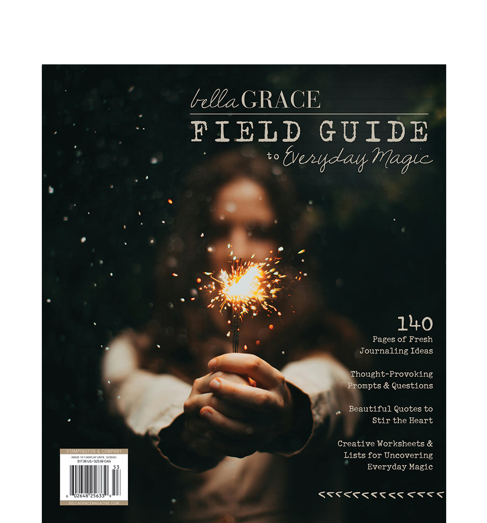 Field Guide to Everyday Magic Issue 16
