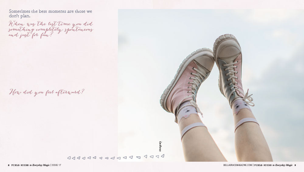 Field Guide to Everyday Magic Issue 17