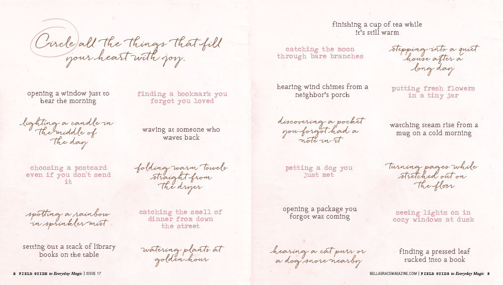 Field Guide to Everyday Magic Issue 17