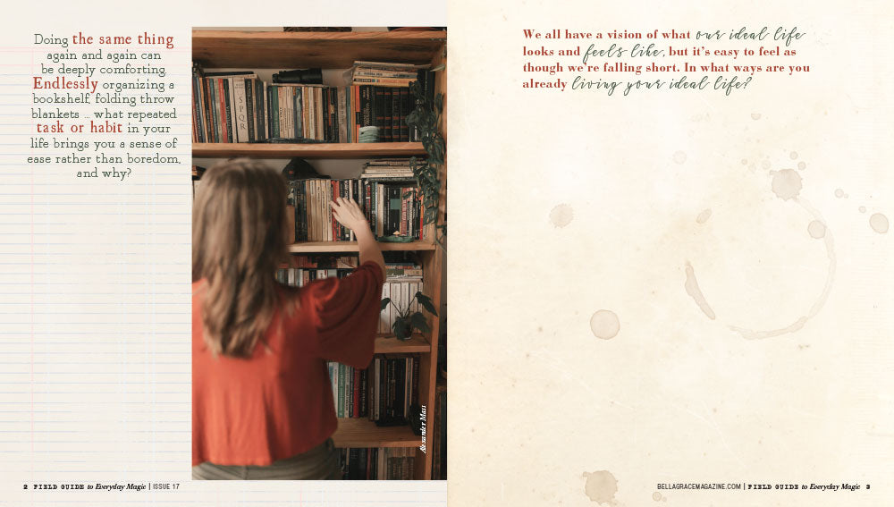 Field Guide to Everyday Magic Issue 17