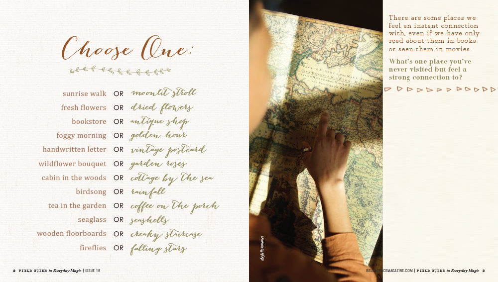 Field Guide to Everyday Magic Issue 18 Pre-Order