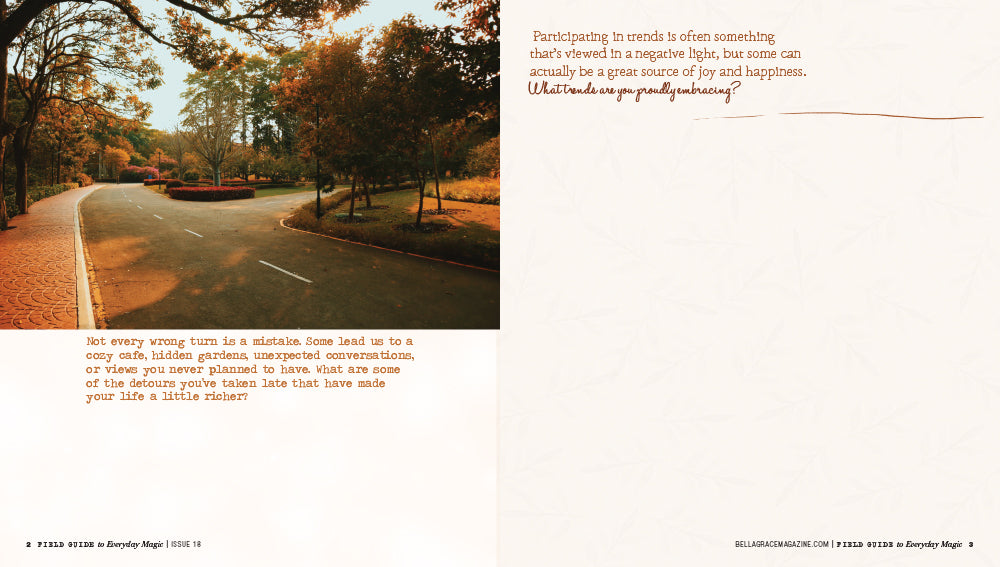 Field Guide to Everyday Magic Issue 18 Pre-Order