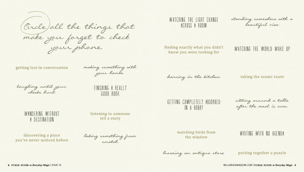 Field Guide to Everyday Magic Issue 18 Pre-Order