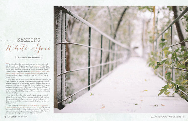 Bella Grace Issue 22 — Digital Only