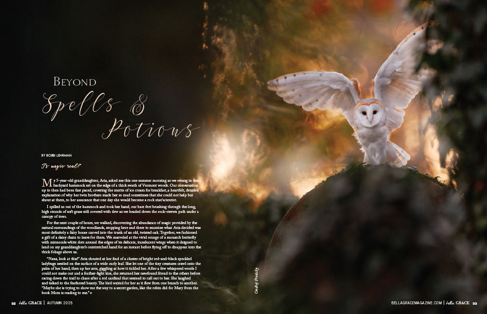 Bella Grace Issue 45 Instant Download