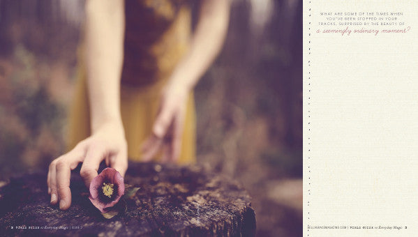 Field Guide to Everyday Magic Issue 2 — Digital Only