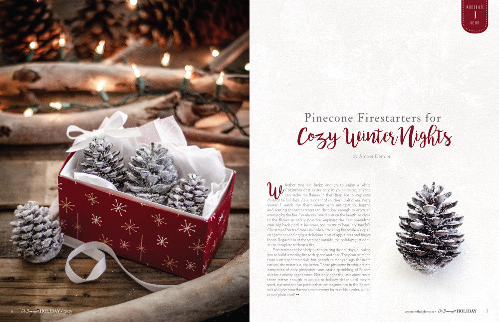 A Somerset Holiday Volume 14 — Digital Only