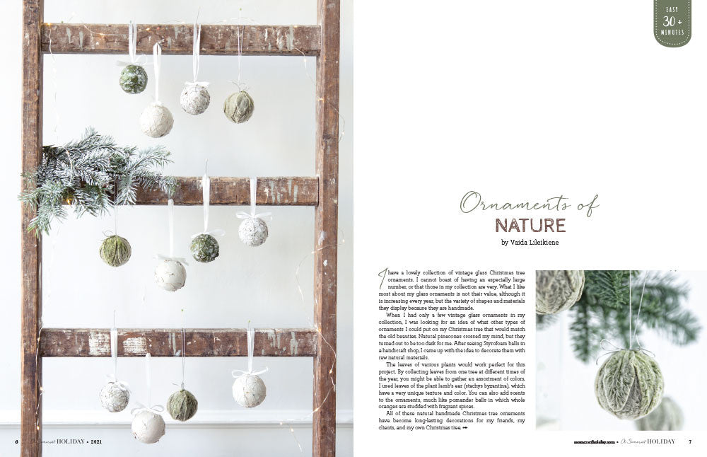 A Somerset Holiday Volume 15 Instant Download