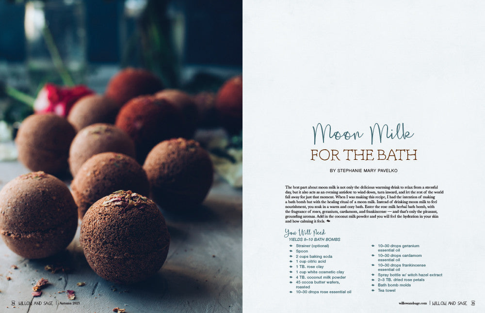 Willow and Sage Autumn 2023 Instant Download
