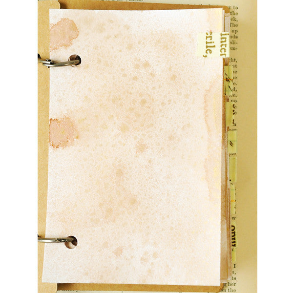 Parisian Notebooks Project1
