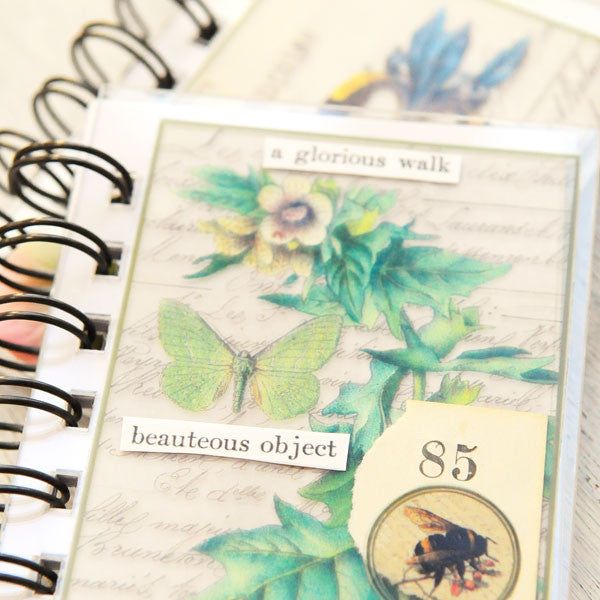 Nature Mini Books Project by Audrey Hernandez