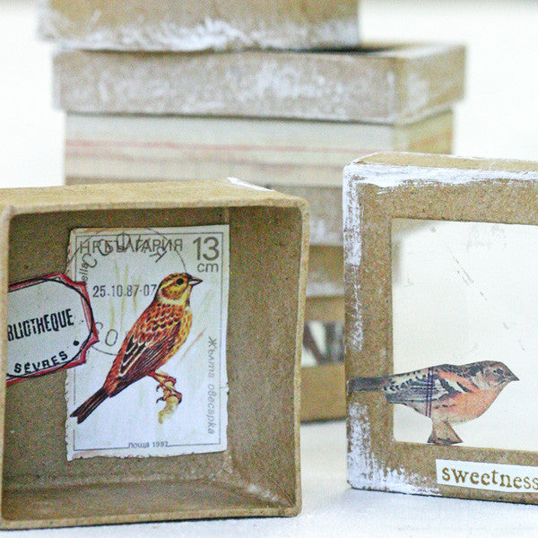 Nature's Beauty Wee Boxes Project by Kristen Robinson