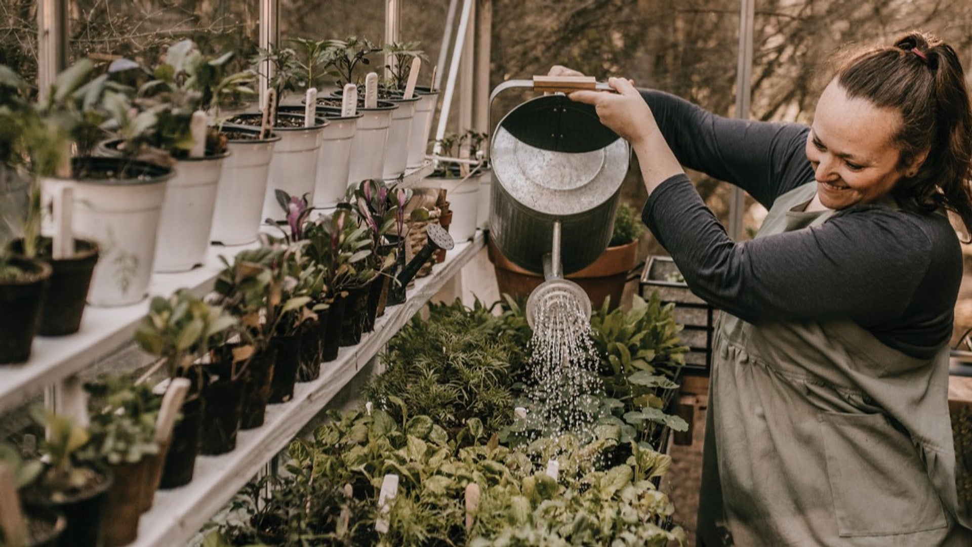 Winter Gardening Inspiration from In Her Garden