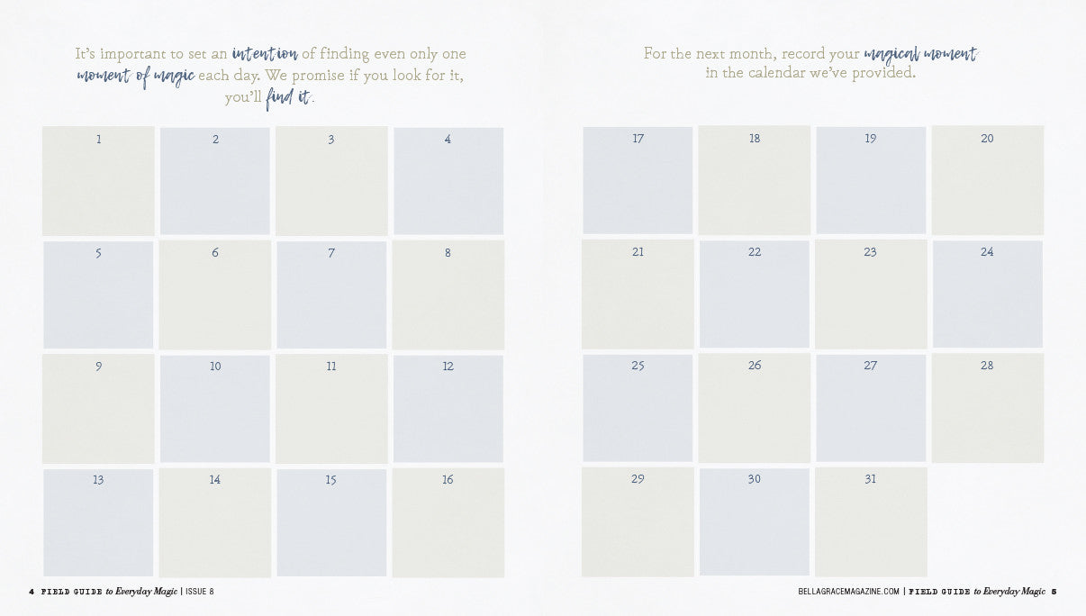Field Guide to Everyday Magic Issue 8 Instant Download