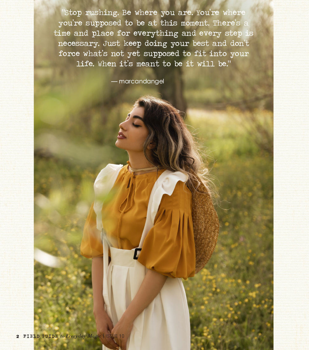 Field Guide to Everyday Magic Issue 10 Instant Download