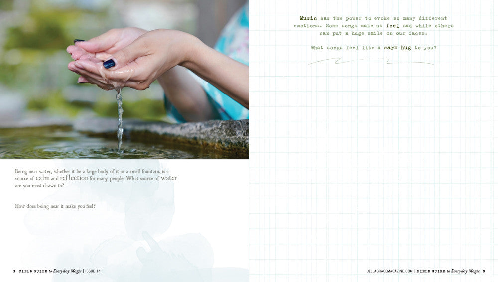 Field Guide to Everyday Magic Issue 14  Instant Download