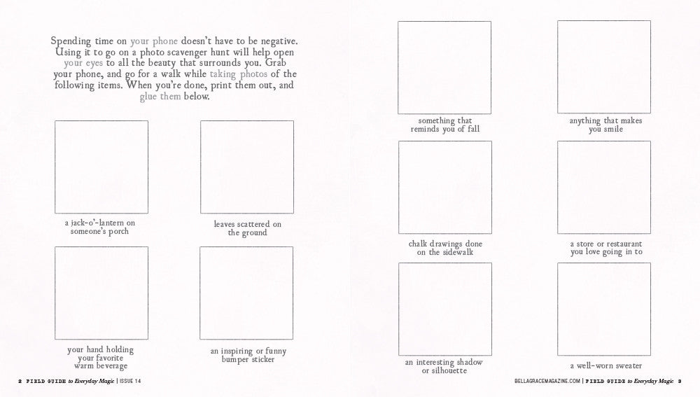 Field Guide to Everyday Magic Issue 14  Instant Download