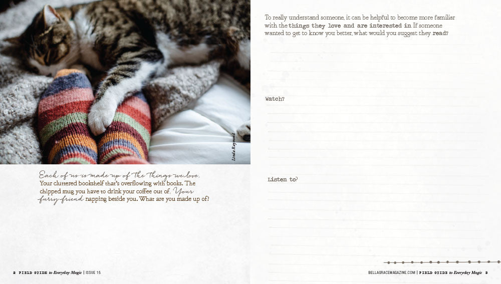 Field Guide to Everyday Magic Issue 15