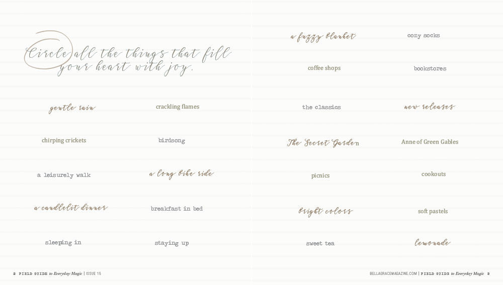 Field Guide to Everyday Magic Issue 15