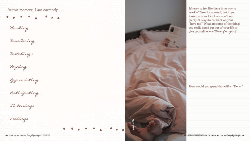 Field Guide to Everyday Magic Issue 15