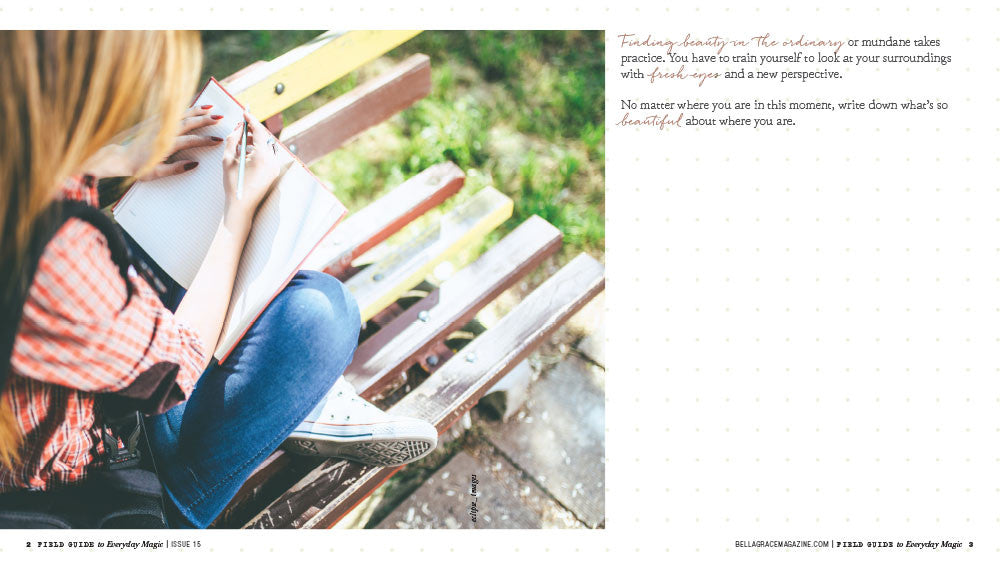 Field Guide to Everyday Magic Issue 15