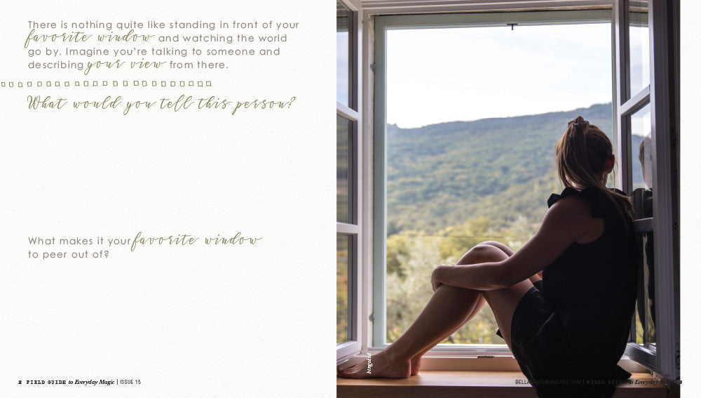 Field Guide to Everyday Magic Issue 15