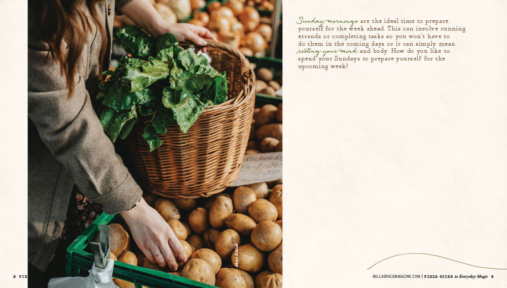 Field Guide to Everyday Magic Issue 15