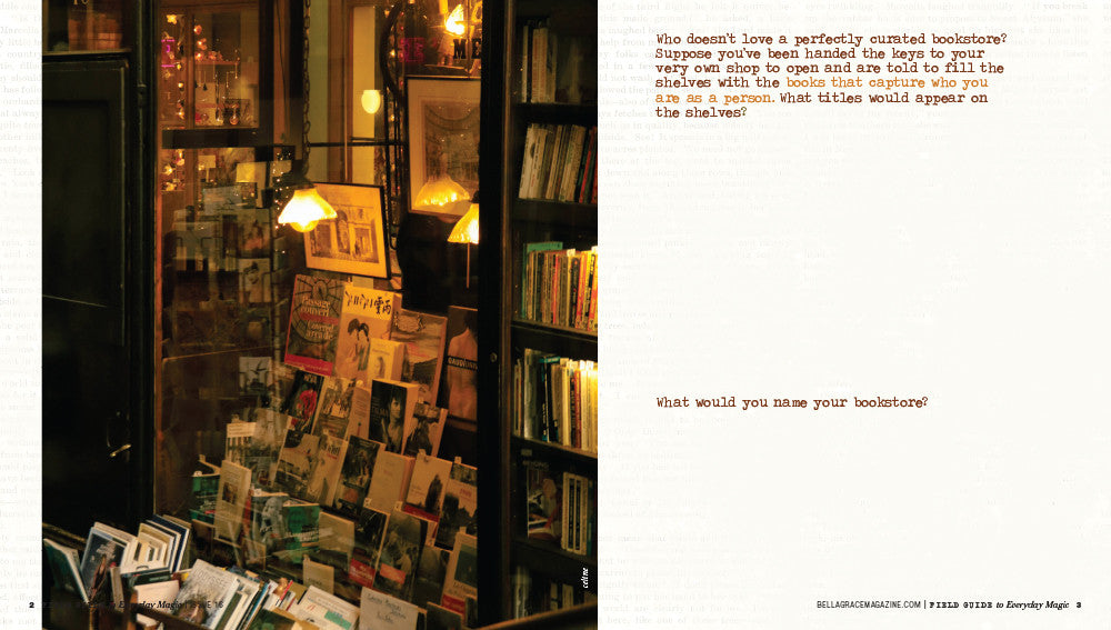 Field Guide to Everyday Magic Issue 16