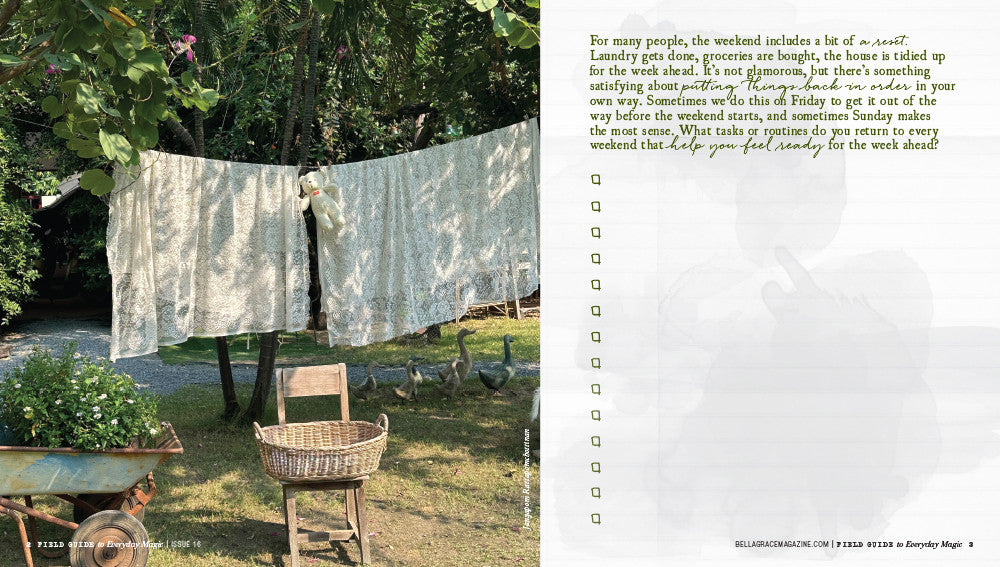 Field Guide to Everyday Magic Issue 16