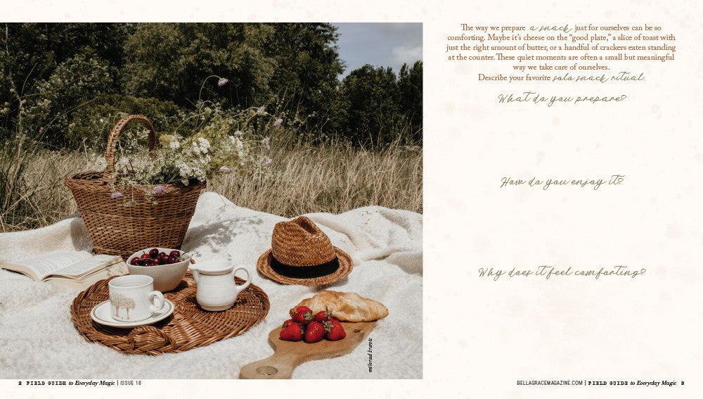 Field Guide to Everyday Magic Issue 16