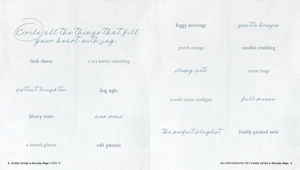 Field Guide to Everyday Magic Issue 16