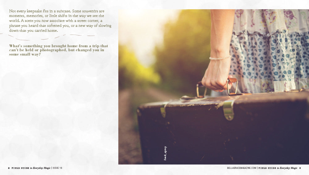 Field Guide to Everyday Magic Issue 16