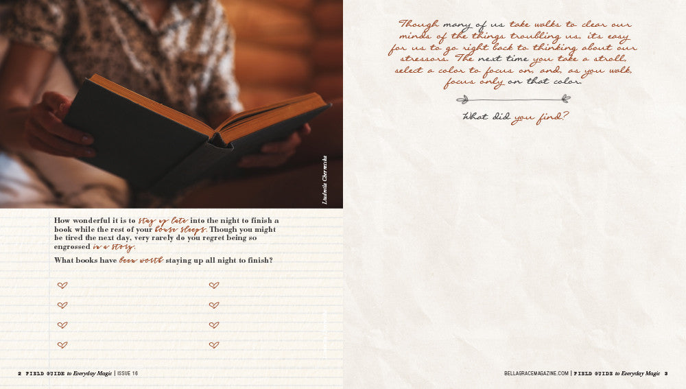 Field Guide to Everyday Magic Issue 16 Instant Download