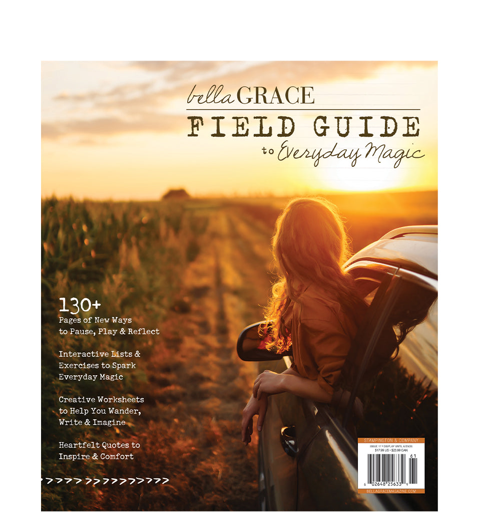 Field Guide to Everyday Magic Issue 17