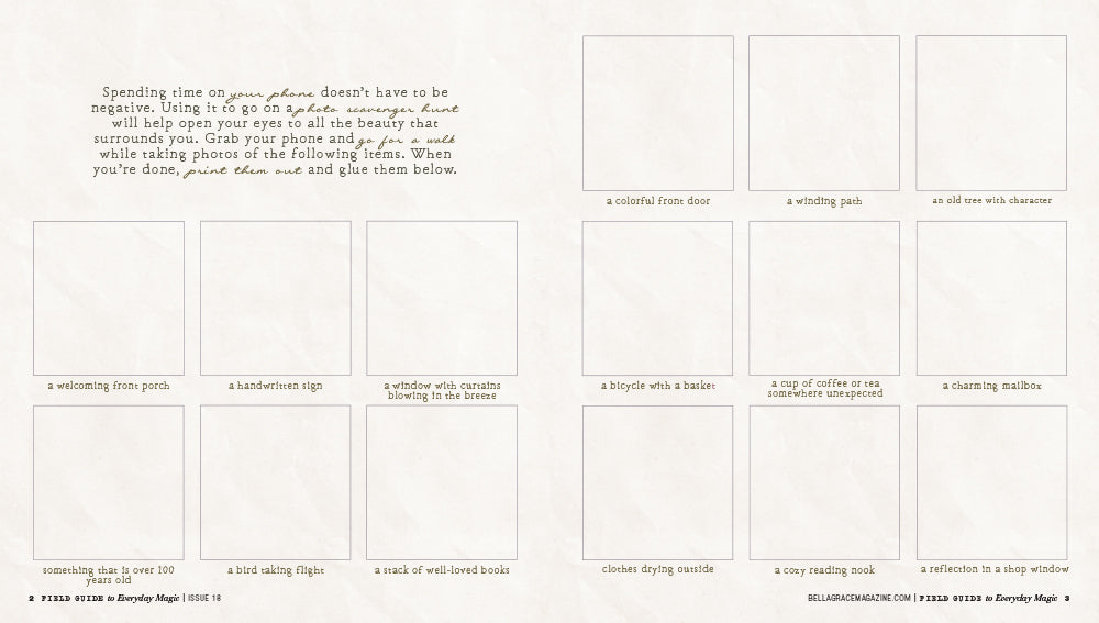 Field Guide to Everyday Magic Issue 18 Pre-Order