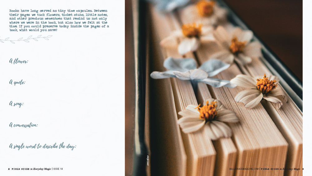 Field Guide to Everyday Magic Issue 18 Pre-Order