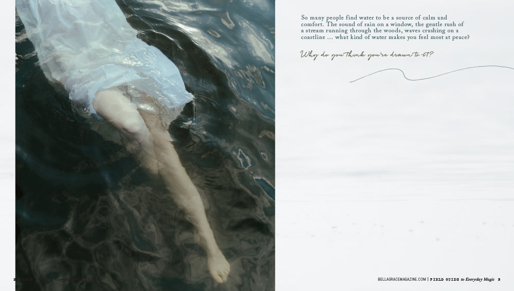 Field Guide to Everyday Magic Issue 18 Pre-Order