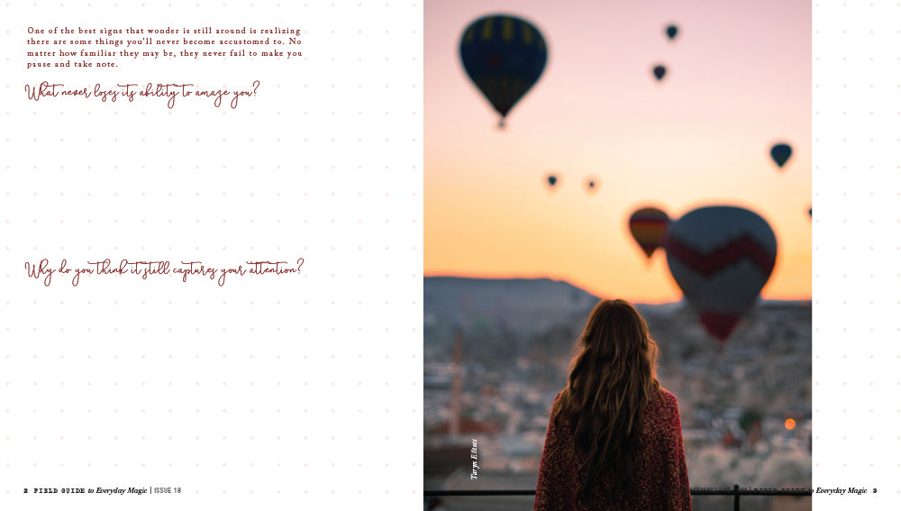 Field Guide to Everyday Magic Issue 18 Pre-Order