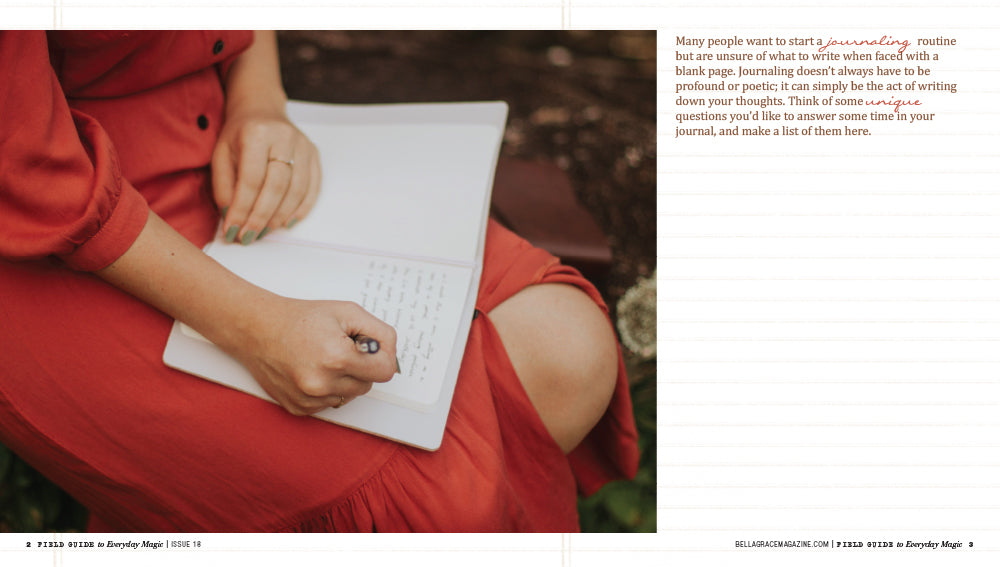 Field Guide to Everyday Magic Issue 18 Pre-Order
